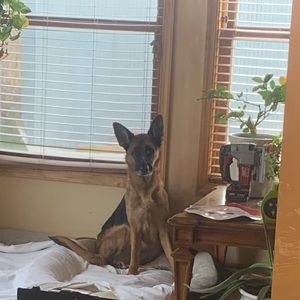 Meet your Posher, Nora